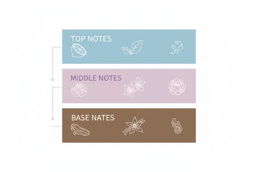 Perfume Notes Explained: Top, Middle & Base Notes Made Simple